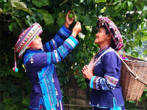 文藝家創(chuàng)作進(jìn)村寨 鄉(xiāng)村振興與生態(tài)文明的藝術(shù)探索