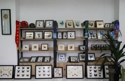 擔(dān)得起“新文藝群體”的分量 王世宏談文藝創(chuàng)作與開(kāi)發(fā)