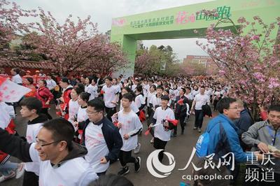 文旅融合新篇章 十二金釵大觀園旅游文化節啟幕，千名跑友共助南川'雙曬'與文藝創作開發